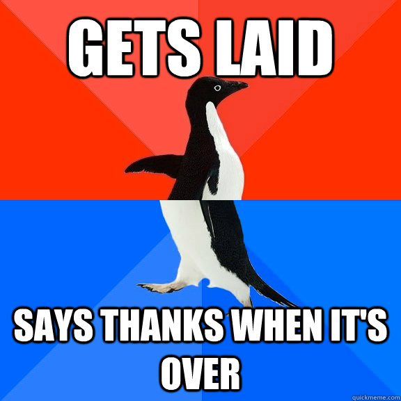gets laid says thanks when it's over  Socially Awesome Awkward Penguin