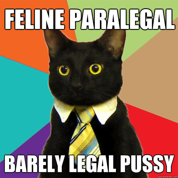 Feline paralegal Barely Legal Pussy - Feline paralegal Barely Legal Pussy  Business Cat