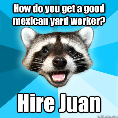 How do you get a good mexican yard worker? Hire Juan  Lame Pun Coon