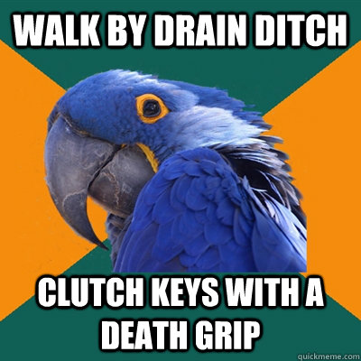 WALK BY DRAIN DITCH CLUTCH KEYS WITH A DEATH GRIP  Paranoid Parrot