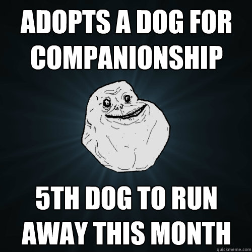 Adopts a dog for companionship 5th dog to run away this month  Forever Alone