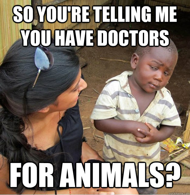 So you're telling me you have doctors for animals?  Skeptical Third World Kid