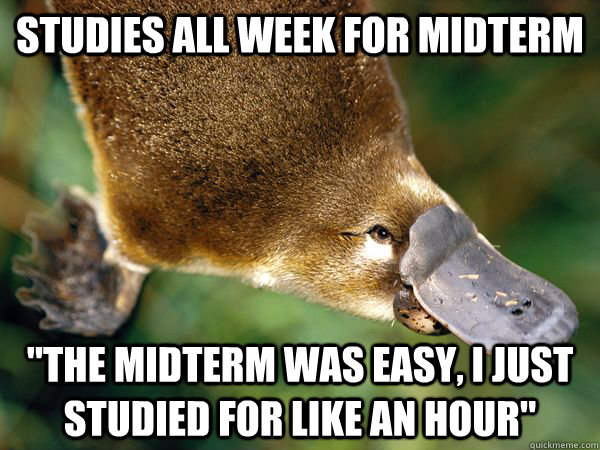 Studies all week for midterm 