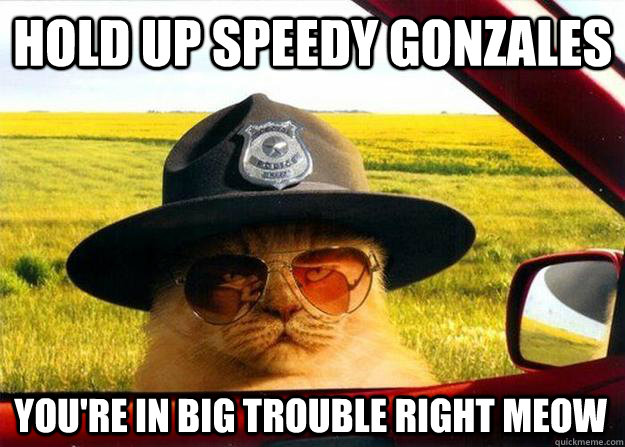 Hold up Speedy Gonzales You're in big trouble right meow - Hold up Speedy Gonzales You're in big trouble right meow  Officer Cat