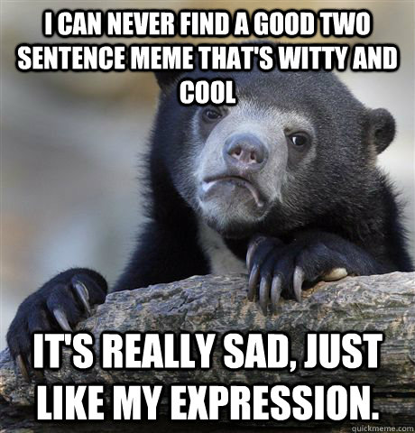 I can never find a good two sentence meme that's witty and cool it's really sad, just like my expression.  Confession Bear