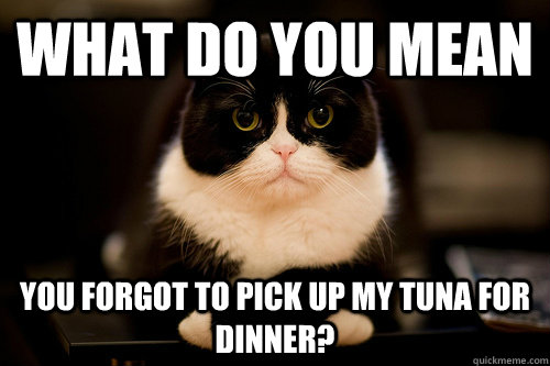 What do you mean you forgot to pick up my tuna for dinner? - What do you mean you forgot to pick up my tuna for dinner?  Misc