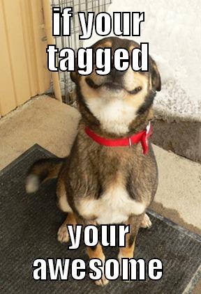 IF YOUR TAGGED YOUR AWESOME Good Dog Greg