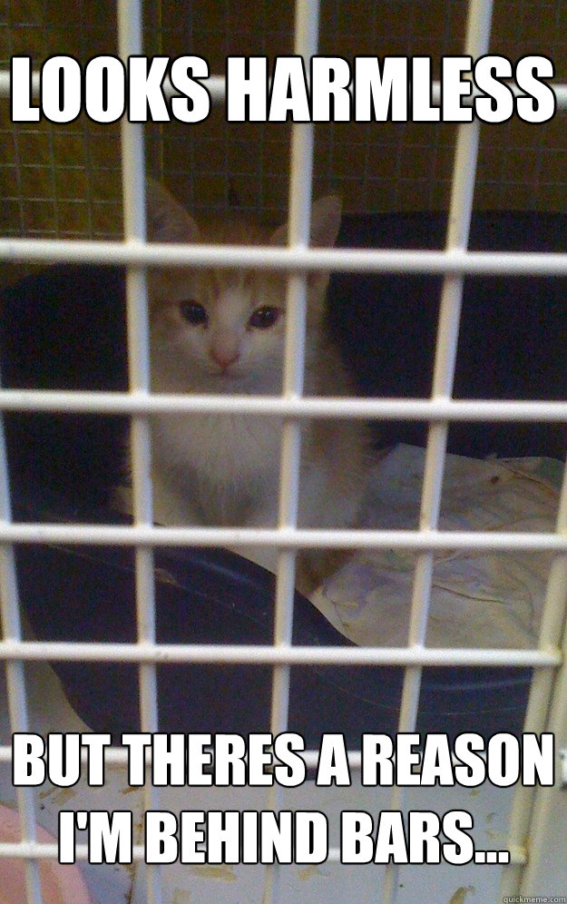 Looks harmless But theres a reason I'm behind bars...  Psycho Cat