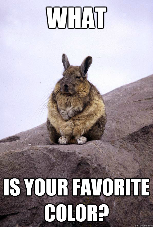 WHAT Is your favorite color?  Wise Wondering Viscacha