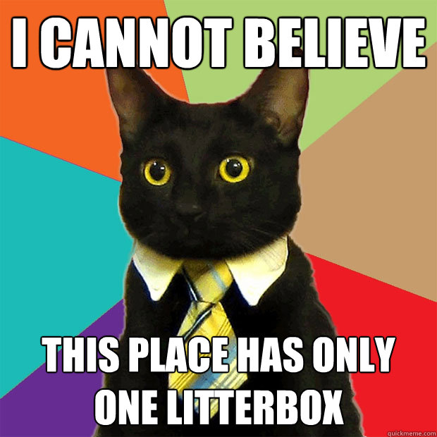 I CANNOT BELIEVE THIS PLACE HAS ONLY ONE LITTERBOX  Business Cat