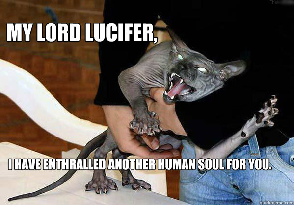My lord lucifer, I have enthralled another human soul for you. - My lord lucifer, I have enthralled another human soul for you.  Hellcat