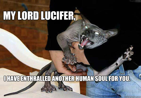 My lord lucifer, I have enthralled another human soul for you.  Hellcat