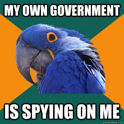 My own government is spying on me  Paranoid Parrot