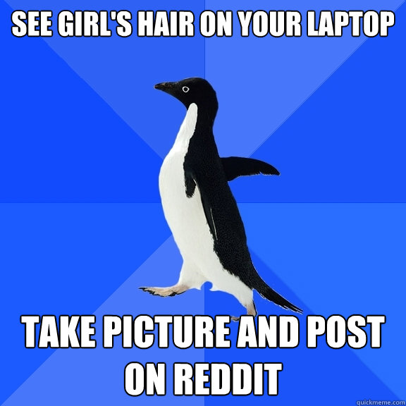 See girl's hair on your laptop Take picture and post on reddit  Socially Awkward Penguin