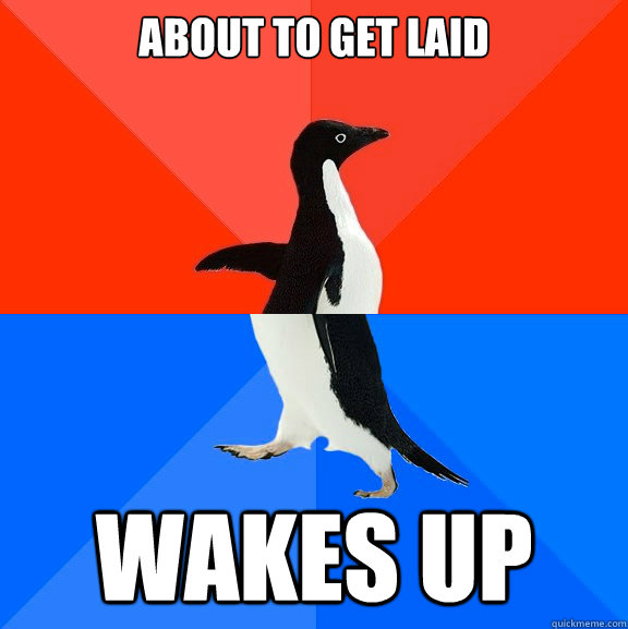 about to get laid wakes up  Socially Awesome Awkward Penguin