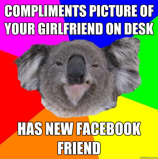 compliments picture of your girlfriend on desk has new facebook friend  Incompetent coworker koala