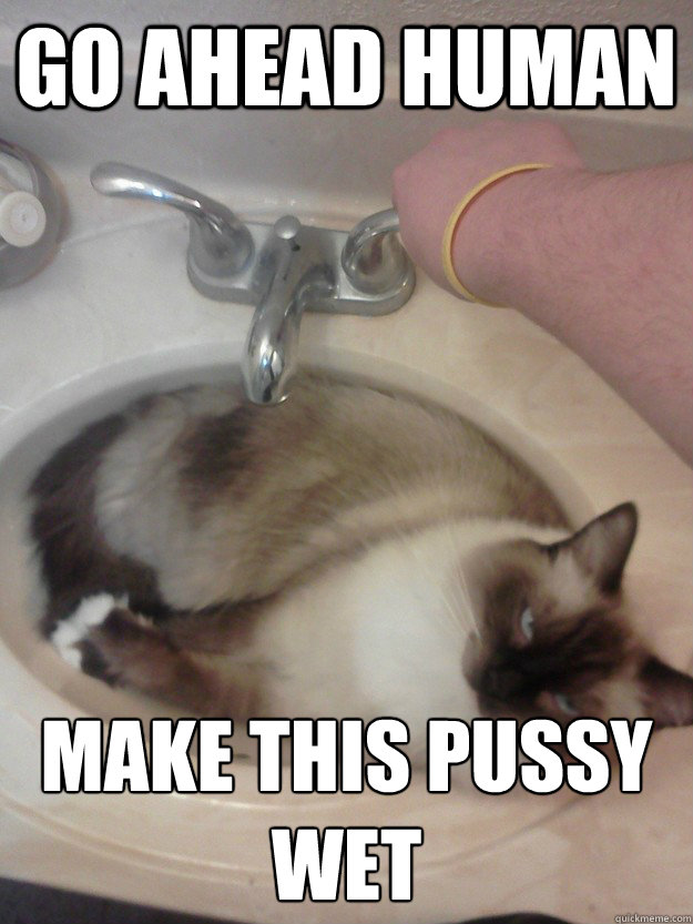 Go ahead human make this pussy wet  
