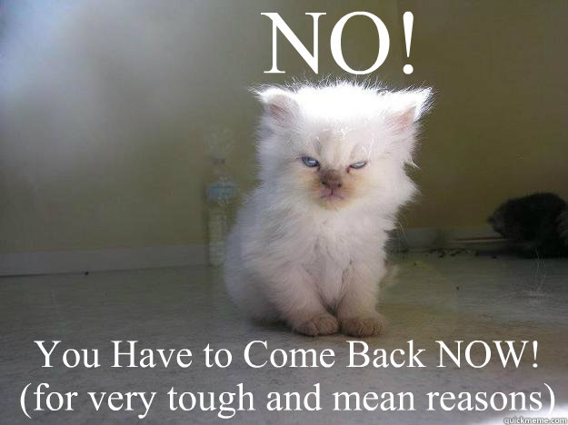 NO! You Have to Come Back NOW! (for very tough and mean reasons)  