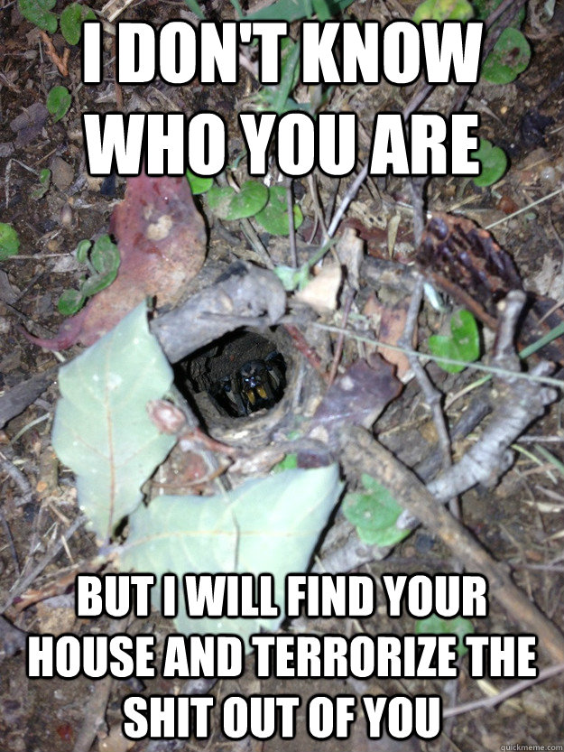 I DON'T KNOW WHO YOU ARE BUT I WILL FIND YOUR HOUSE AND TERRORIZE THE SHIT OUT OF YOU  Furious Funnelweb