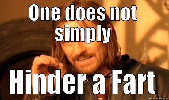 ONE DOES NOT SIMPLY HINDER A FART Boromir