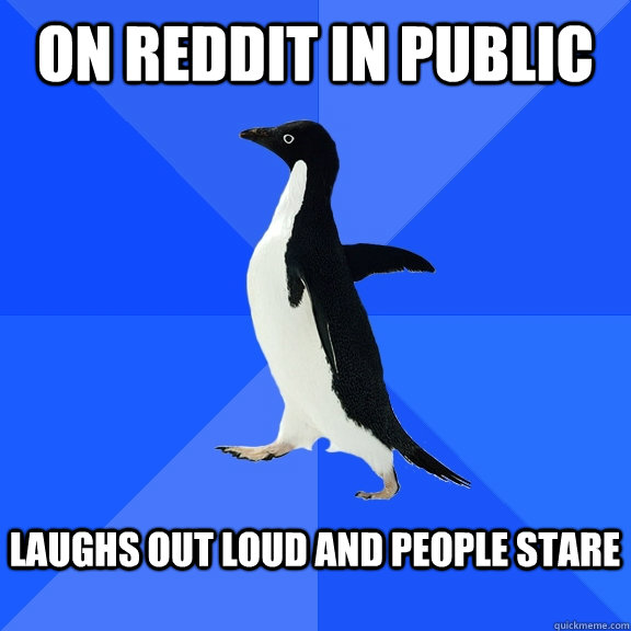 On reddit in public  Laughs out loud and people stare   Socially Awkward Penguin
