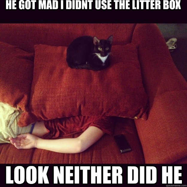 He got mad I didnt use the litter box look neither did he  jealous cat