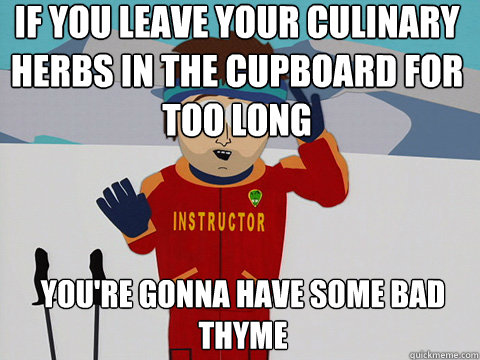 If you leave your culinary herbs in the cupboard for too long You're gonna have some bad thyme - If you leave your culinary herbs in the cupboard for too long You're gonna have some bad thyme  Youre gonna have a bad time