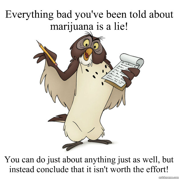 Everything bad you've been told about marijuana is a lie! You can do just about anything just as well, but instead conclude that it isn't worth the effort!  