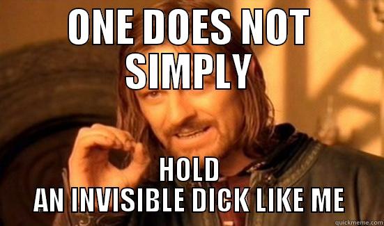 ONE DOES NOT SIMPLY HOLD AN INVISIBLE DICK LIKE ME Boromir