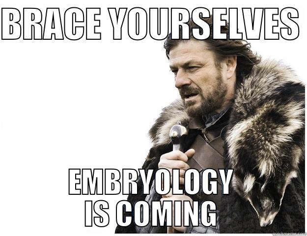 BRACE YOURSELVES  EMBRYOLOGY IS COMING Imminent Ned