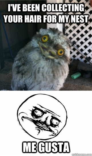 I've been collecting your hair for my nest Me Gusta  