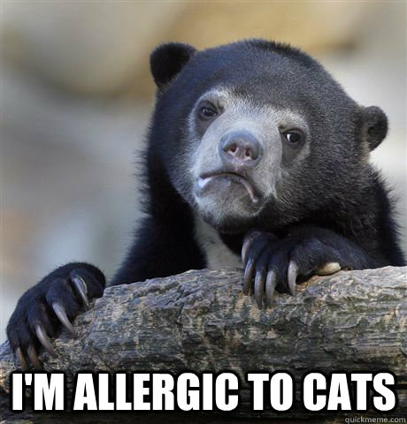  I'm allergic to cats  Confession Bear