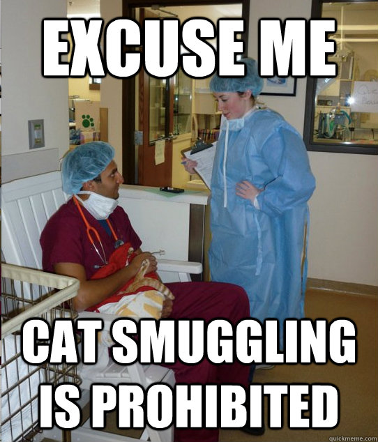 excuse me Cat smuggling is prohibited - excuse me Cat smuggling is prohibited  Overworked Veterinary Student