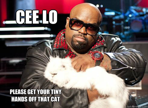 Cee lo  please get your tiny hands off that cat  