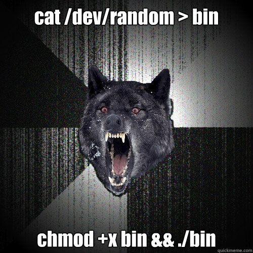 cat /dev/random > bin chmod +x bin && ./bin  Insanity Wolf