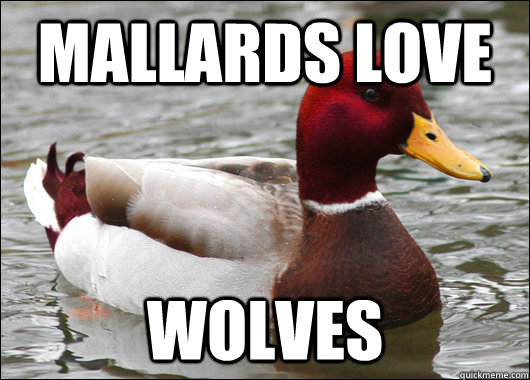 Mallards love wolves  Malicious Advice Mallard