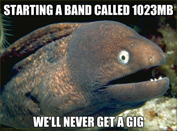 Starting a band called 1023MB We'll never get a gig  