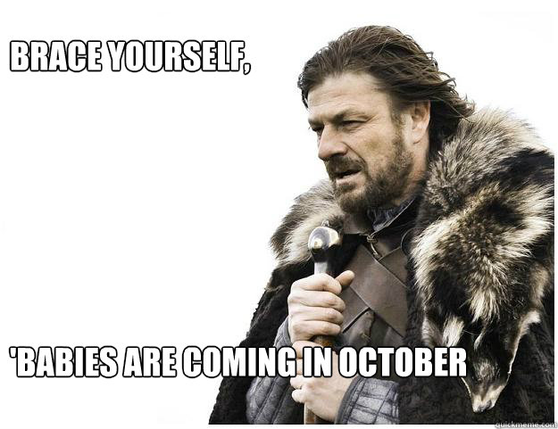 Brace yourself, 






'Babies are coming in October  Imminent Ned