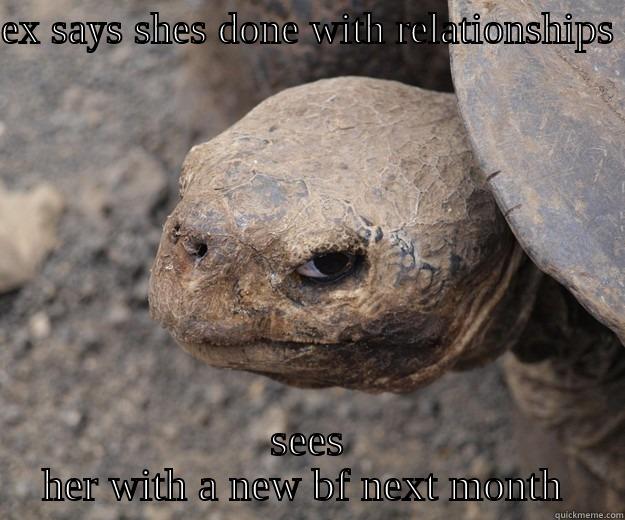 EX SAYS SHES DONE WITH RELATIONSHIPS  SEES HER WITH A NEW BF NEXT MONTH  Angry Turtle