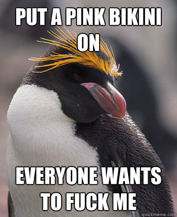 Put a pink bikini on Everyone wants to fuck me   Socially Overconfident Penguin