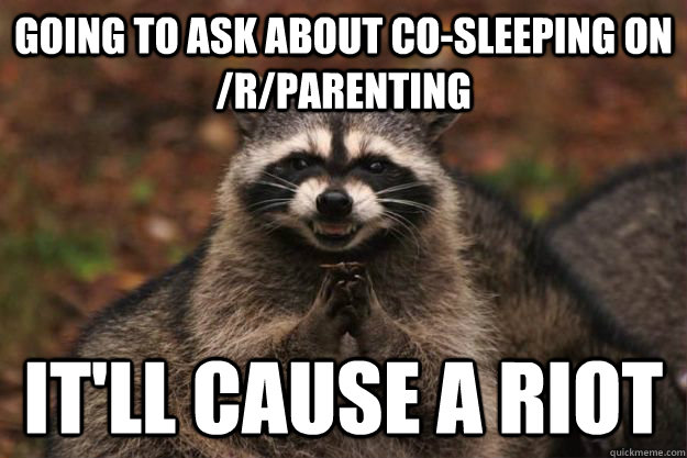 Going to ask about co-sleeping on /r/parenting It'll cause a riot - Going to ask about co-sleeping on /r/parenting It'll cause a riot  Evil Plotting Raccoon