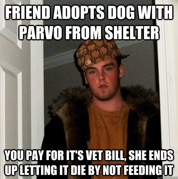 Friend adopts dog with parvo from shelter You pay for it's vet bill, she ends up letting it die by not feeding it  Scumbag Steve
