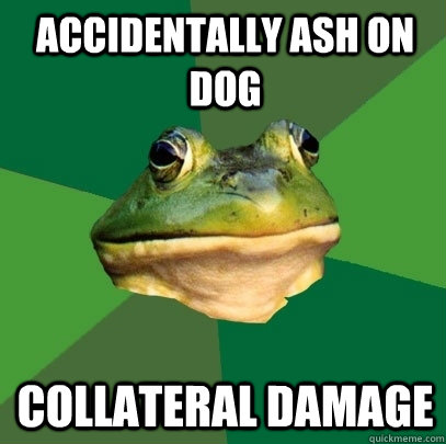 Accidentally ash on dog COLLATERAL DAMAGE  Foul Bachelor Frog