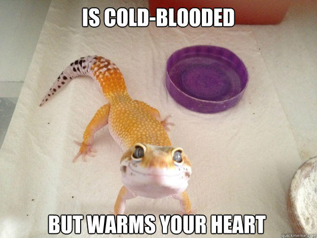 is cold-blooded but warms your heart  