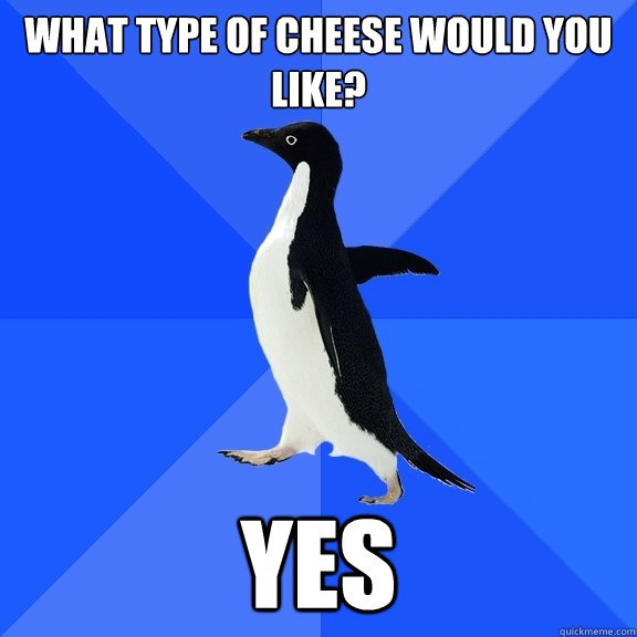 What type of cheese would you like? yes  Socially Awkward Penguin