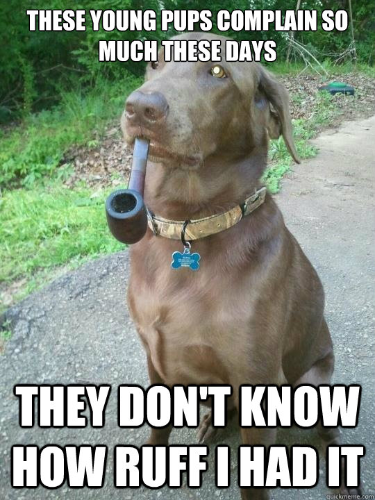 these young pups complain so much these days they don't know how ruff i had it - these young pups complain so much these days they don't know how ruff i had it  Elderly Dog
