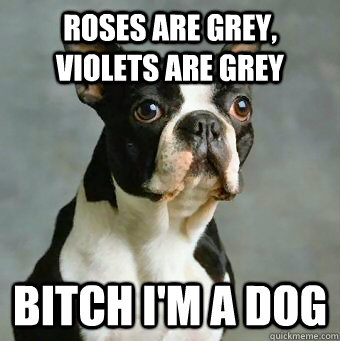 Roses are grey, violets are grey Bitch I'm a dog  