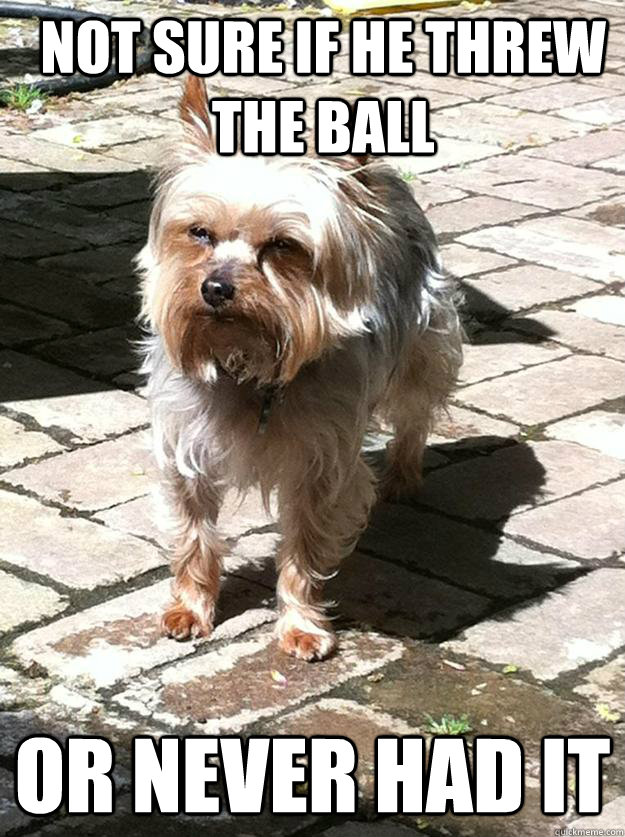 not sure if he threw the ball Or never had it - not sure if he threw the ball Or never had it  Misc