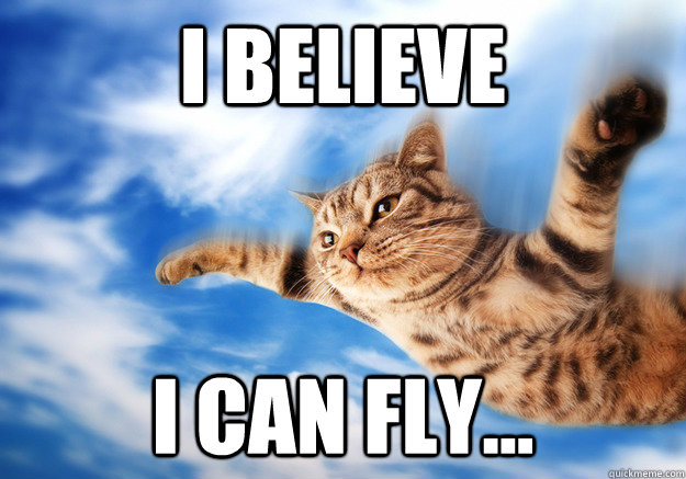 I BELIEVE  I CAN FLY... - I BELIEVE  I CAN FLY...  I BELIEVE I CAN FLY CAT