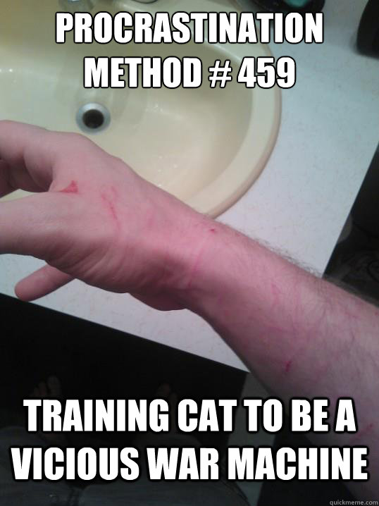 Procrastination method # 459 Training cat to be a vicious war machine - Procrastination method # 459 Training cat to be a vicious war machine  Misc